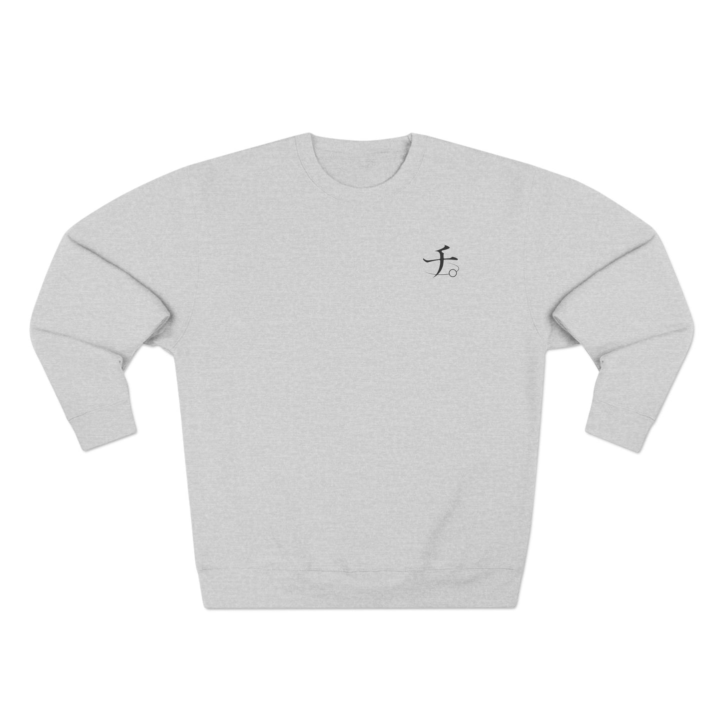SINFUL THEORIES - SWEATSHIRT Orb: On the Movements of the Earth