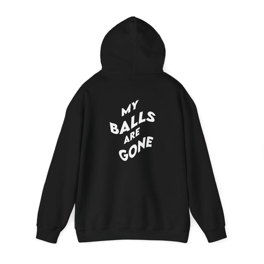 HIS WHAT? - DANDANDAN Hoodie